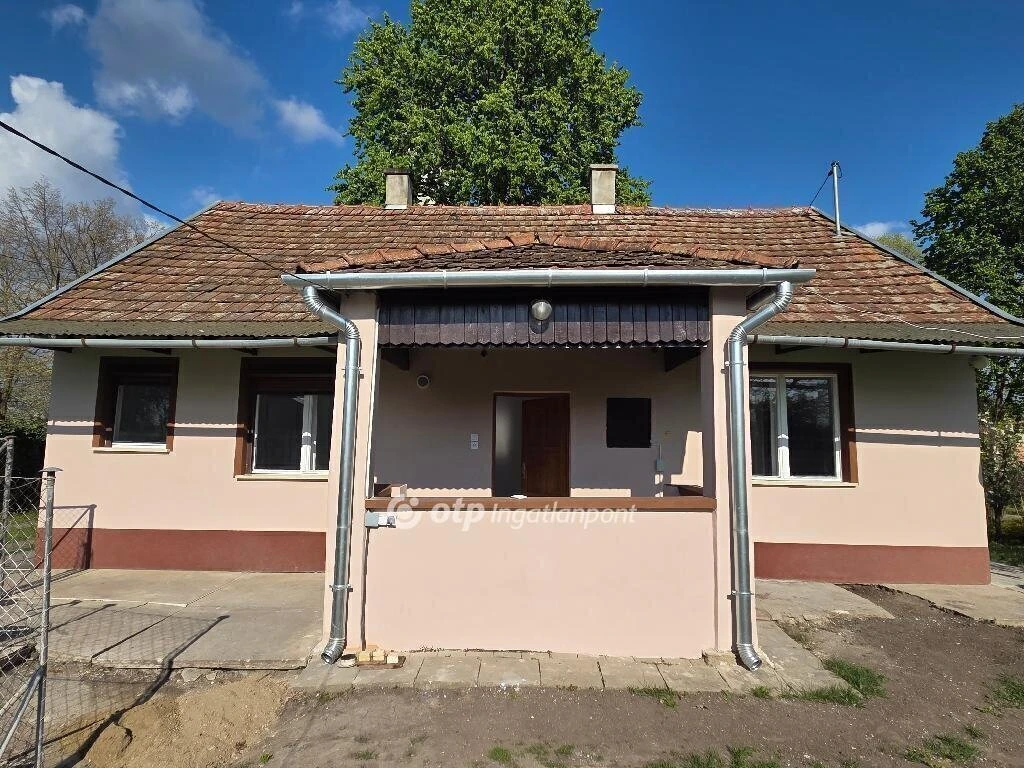 c3-1-name c2-1-name, Mezőhegyes