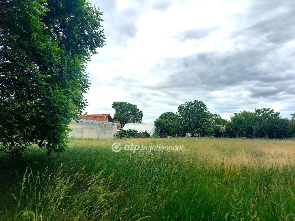 Eladó Telek, Csongrád