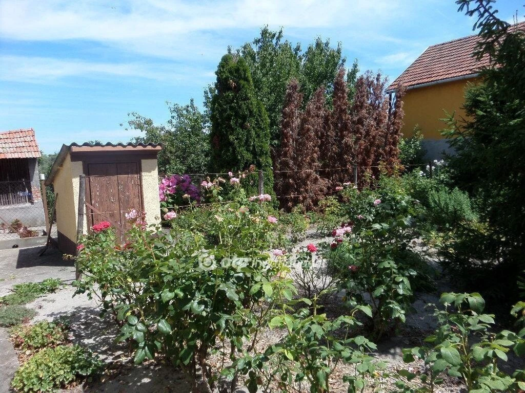 Eladó Ház, Tiszaalpár