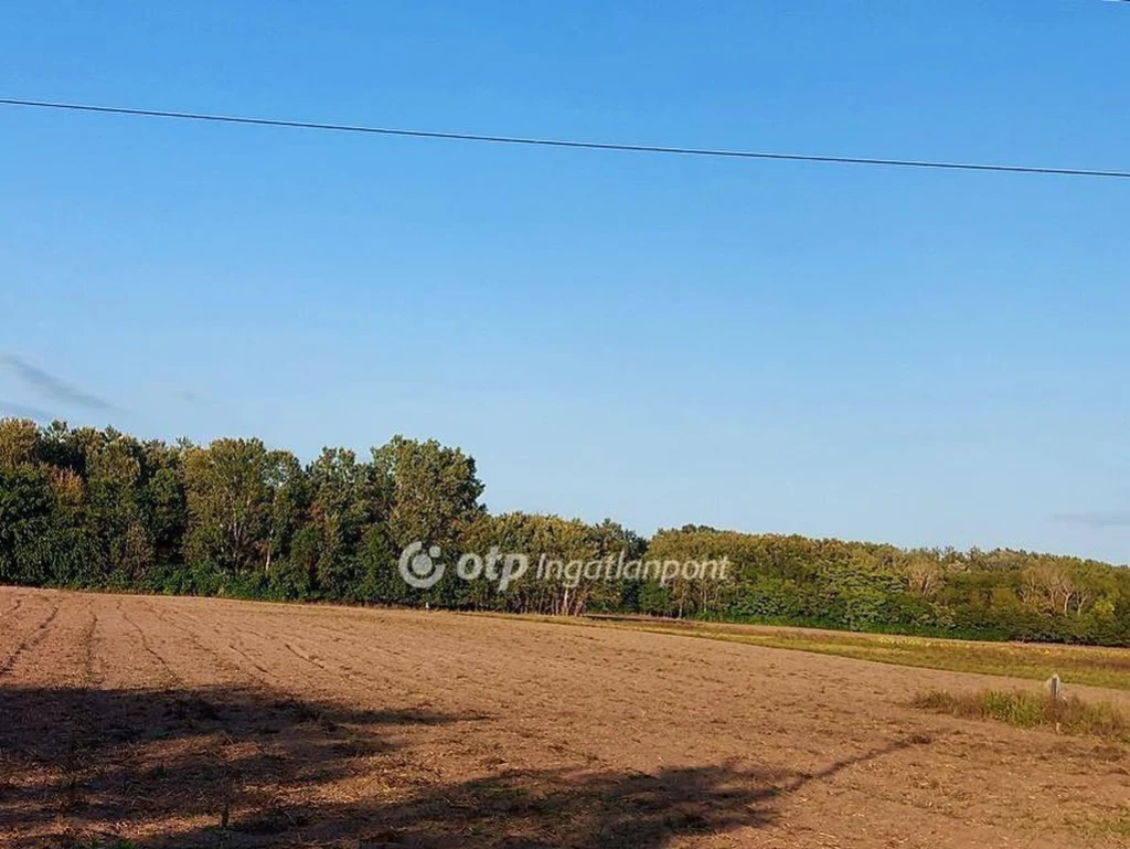 Eladó Mezőgazdasági, Ópusztaszer