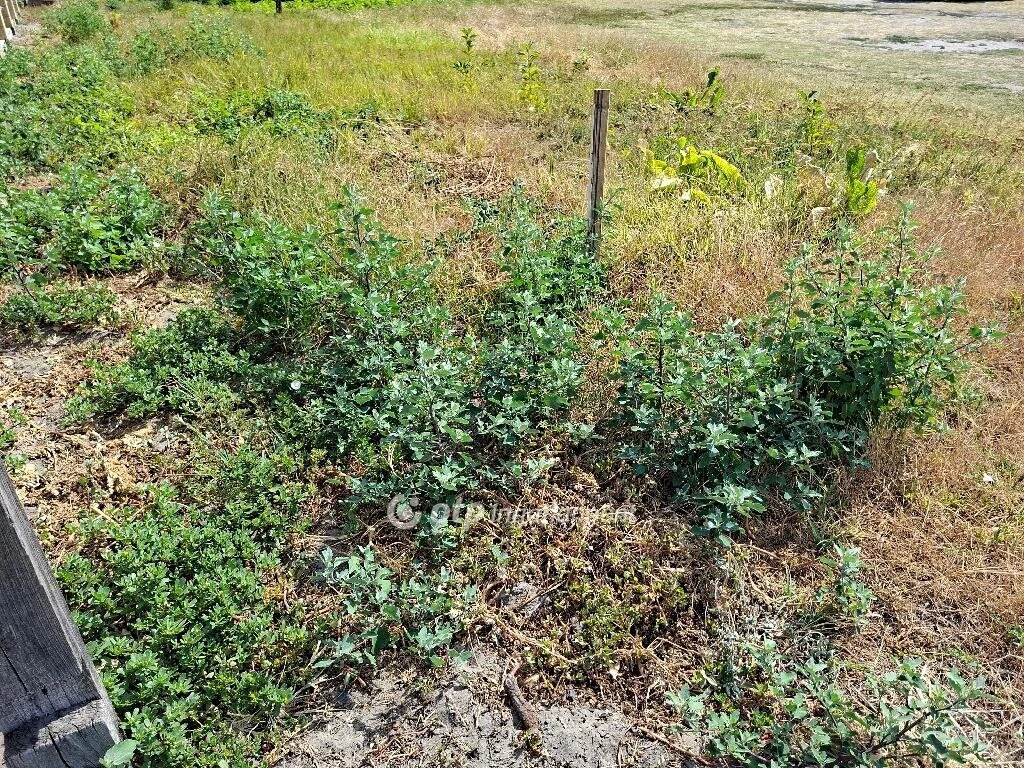 Eladó Telek, Kistelek