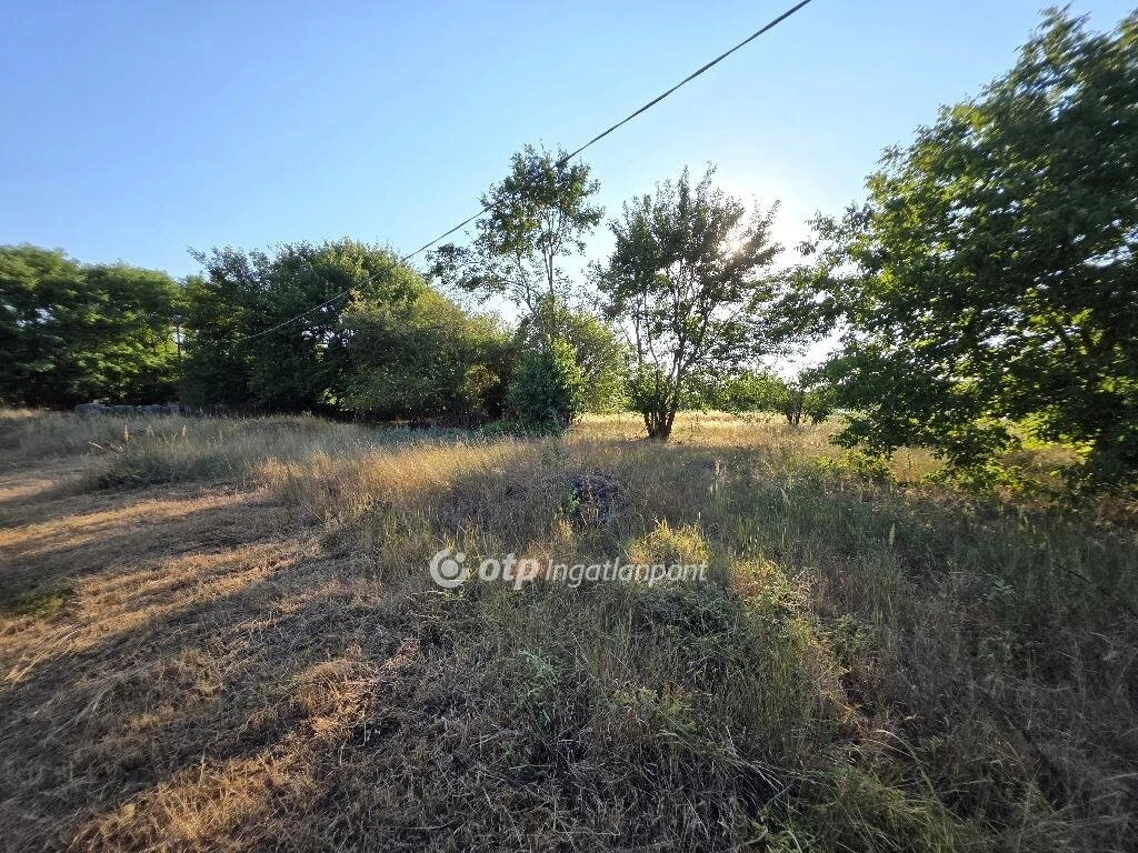 Eladó Telek, Cserkeszőlő
