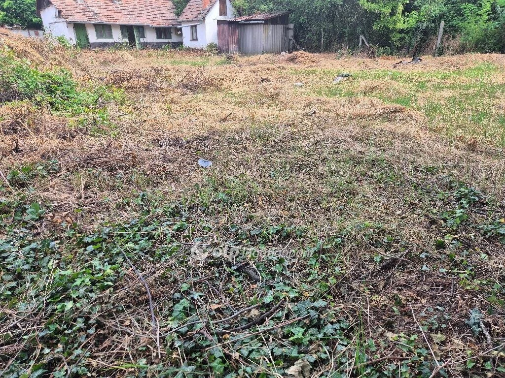 Eladó Telek, Szentes