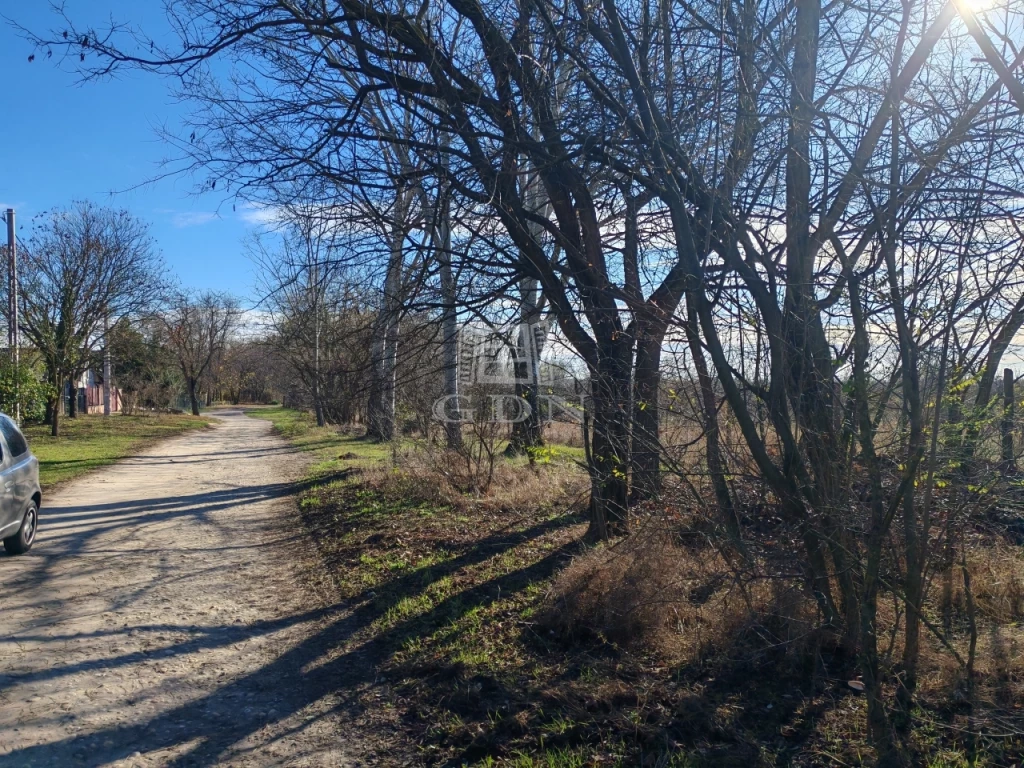 Eladó külterületi telek, Gyömrő, Jó levegő, zöld környezet!