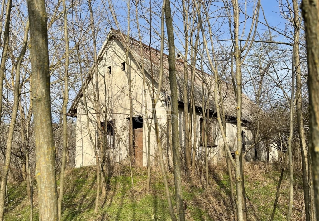 Eladó tanya, Lajosmizse, Tanya-Szántó-Erdő