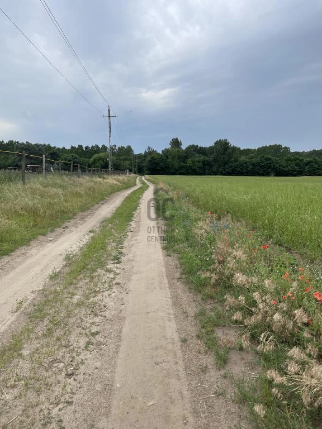 c3-1-name c2-84-name, Monor, Monor