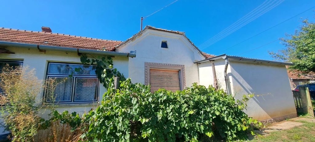 Kis-Balaton, kormoránok, gémek és páratlan nyugalom!