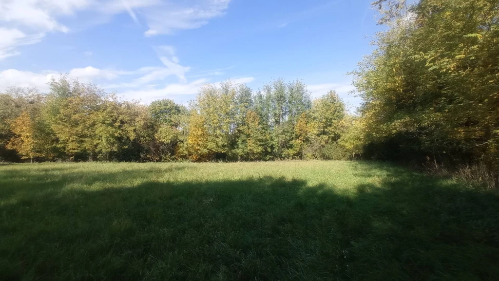 Tündérkert a tó fölött!