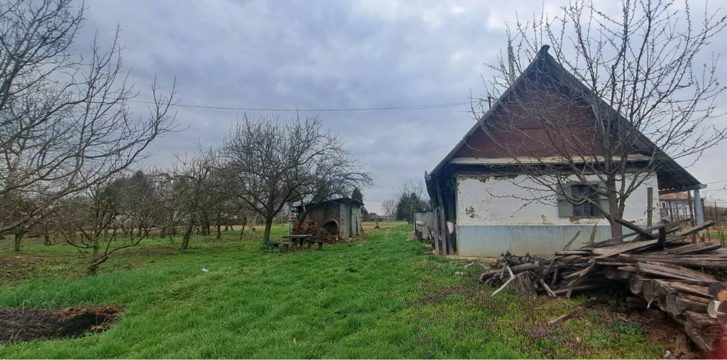 c3-1-name c2-63-name, Galambok