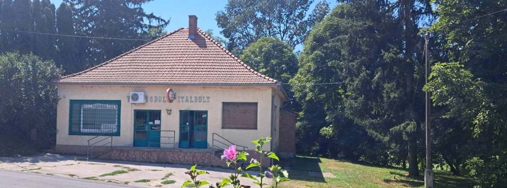 A LEHETŐSÉGEK TÁRHÁZA ZALASZENTJAKAB KÖZPONTJÁBAN! 172 m²-es, új tetős téglaépület 500 m²-es telken eladó!