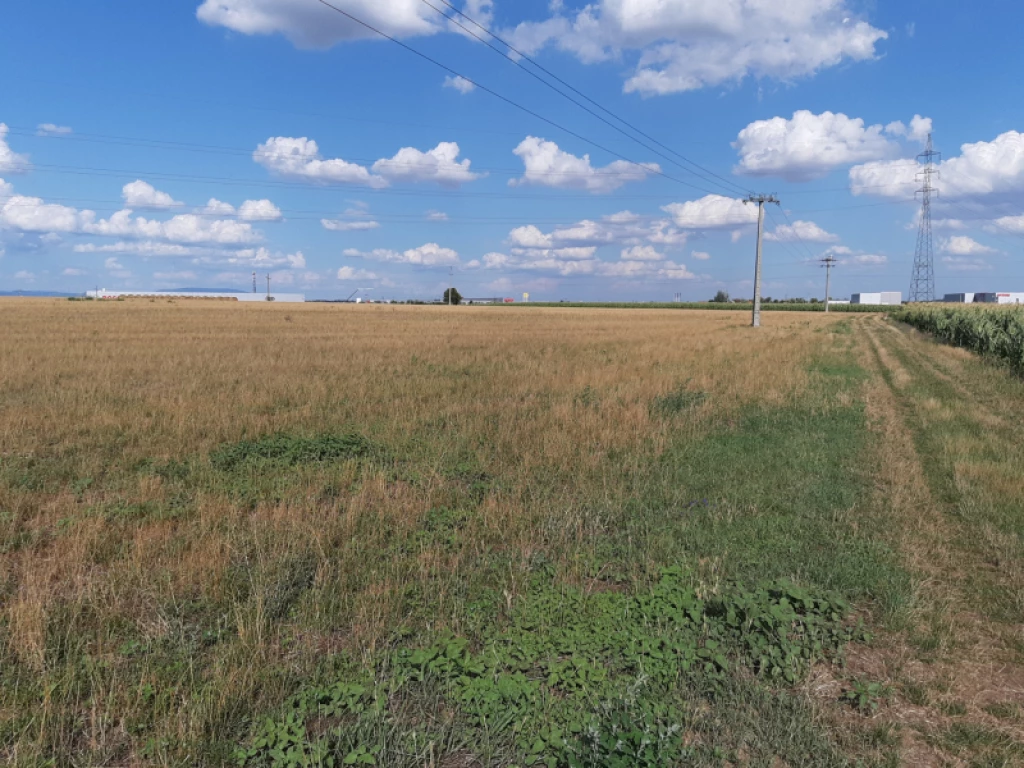 For sale other plot, Hatvan