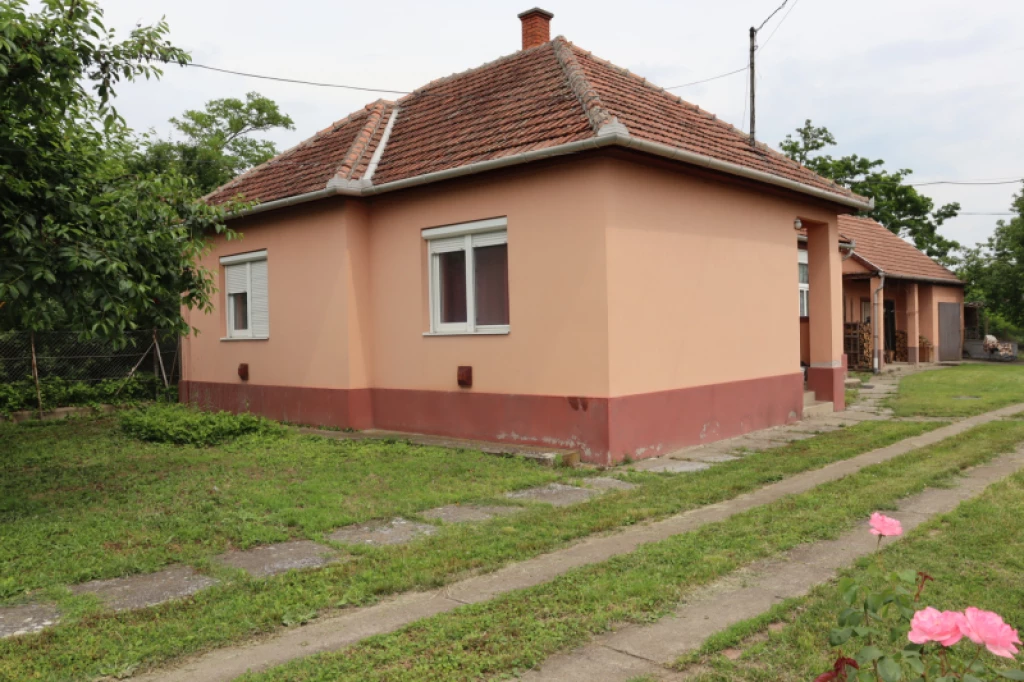 For sale house, Csány