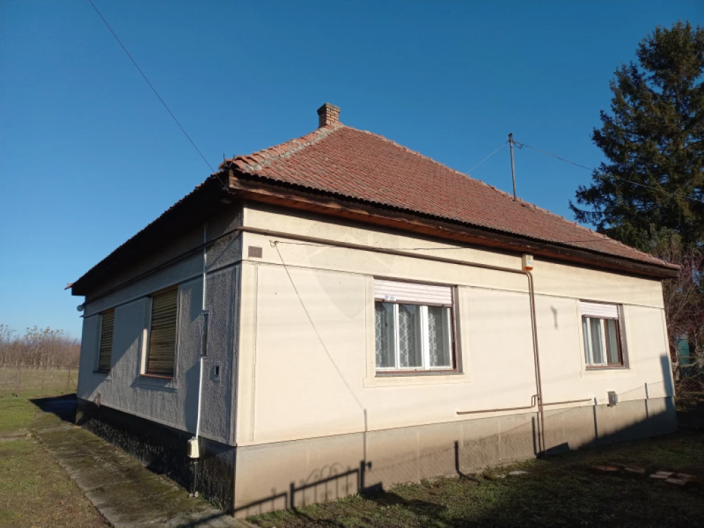 For sale house, Csány