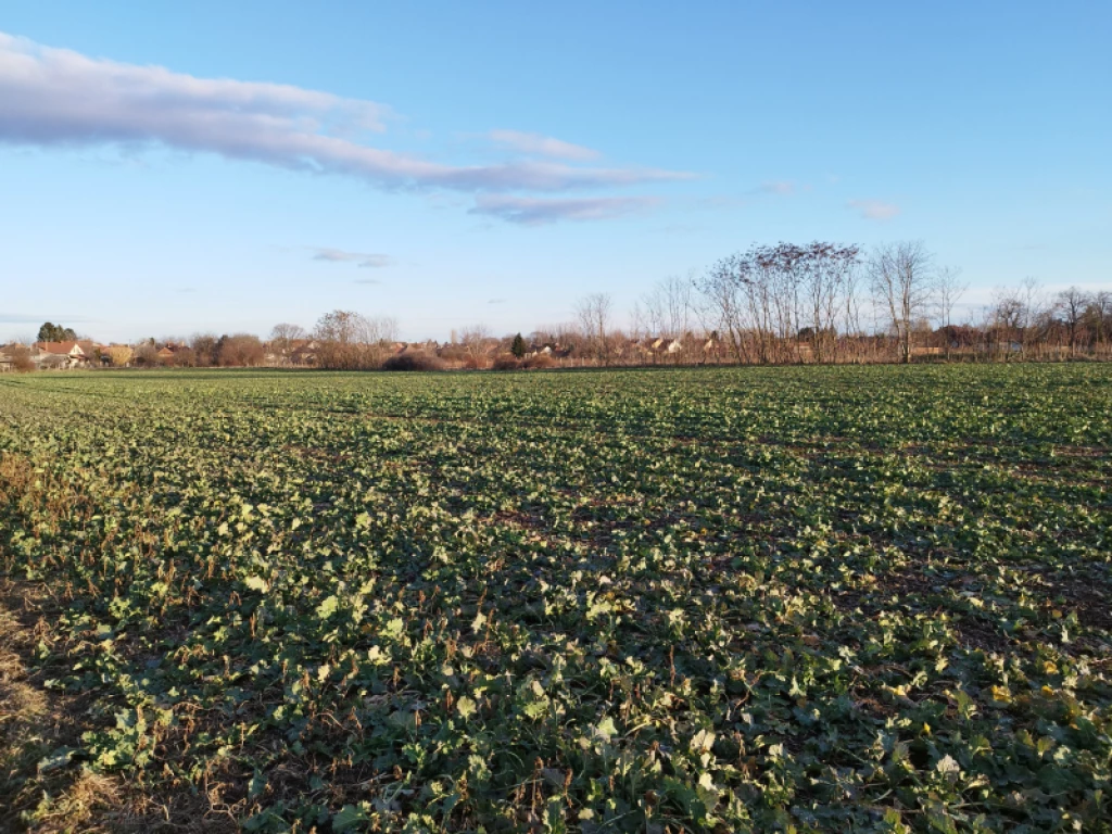 For sale other plot, Hatvan