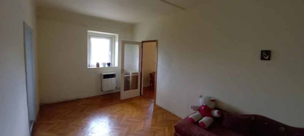 c3-1-name c2-23-name, Zagyvaszántó