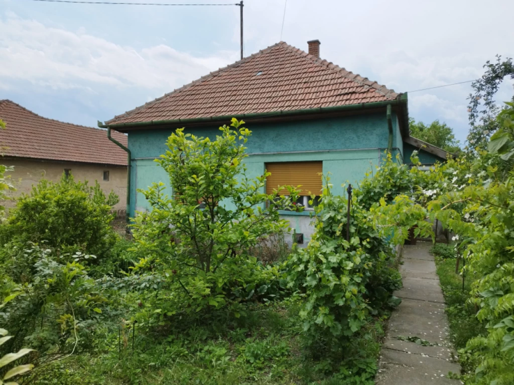 Eladó családi ház, Csány