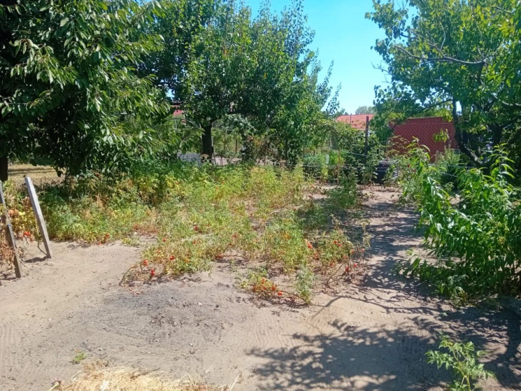 For sale house, Hatvan