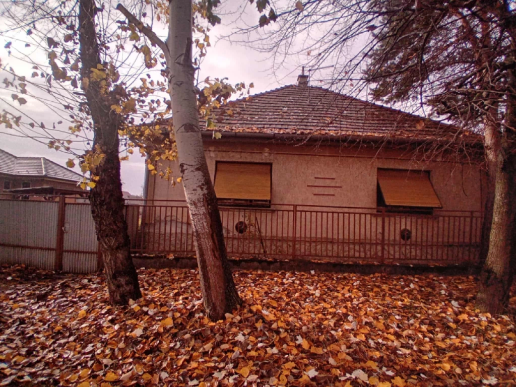 For sale house, Tura