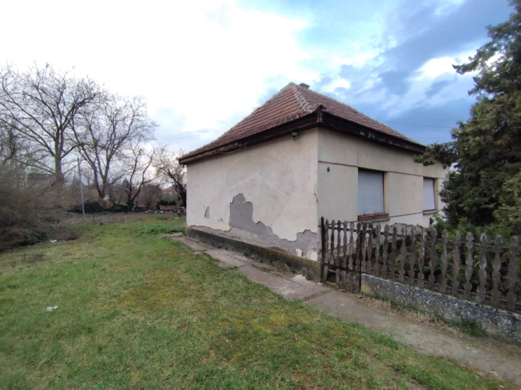 c3-1-name c2-1-name, Zagyvaszántó