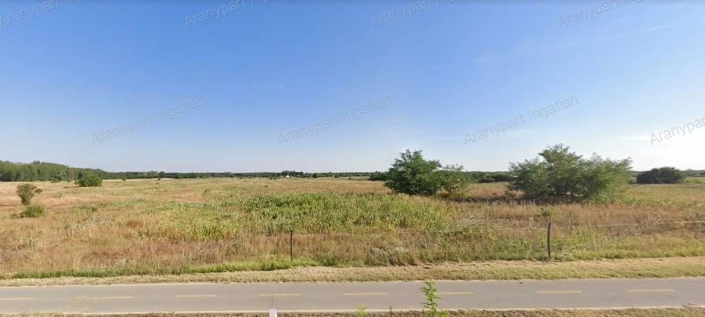 For sale orchard, Gönyű