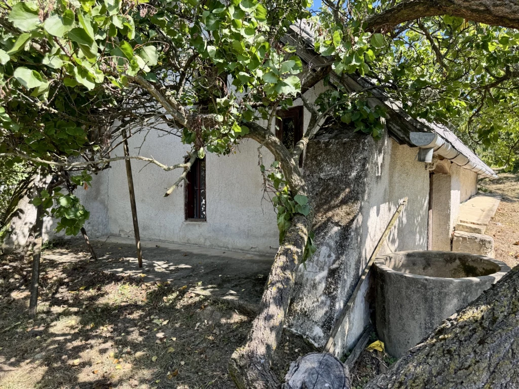 c3-1-name c2-61-name, Vindornyaszőlős