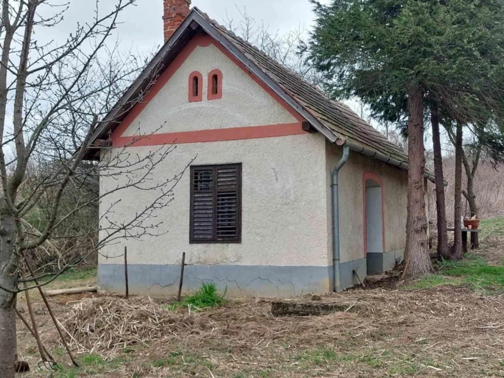 c3-1-name c2-61-name, Türje