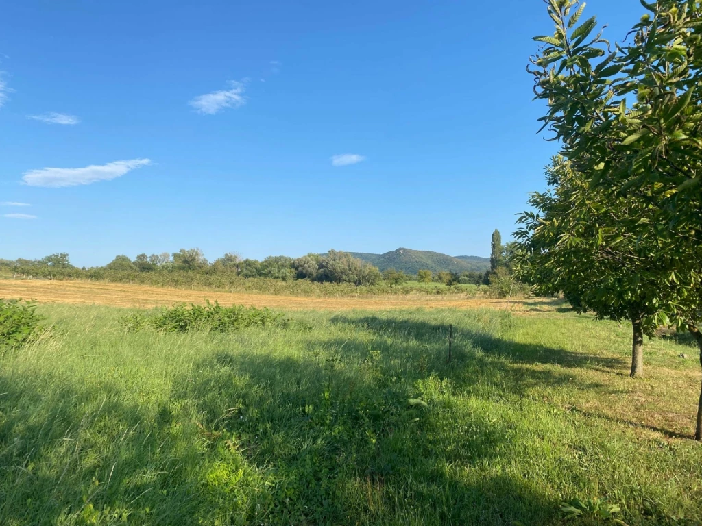 Eladó Telek, Vindornyalak 17.500.000 Ft