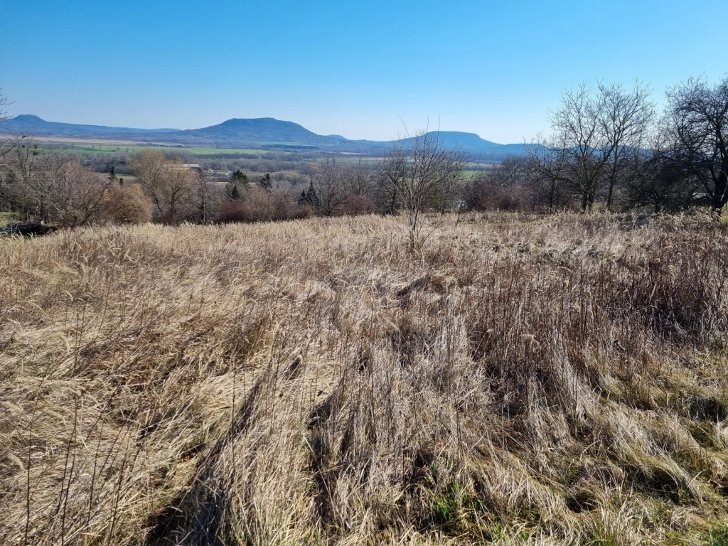 Eladó Telek, Lesencetomaj 11.900.000 Ft