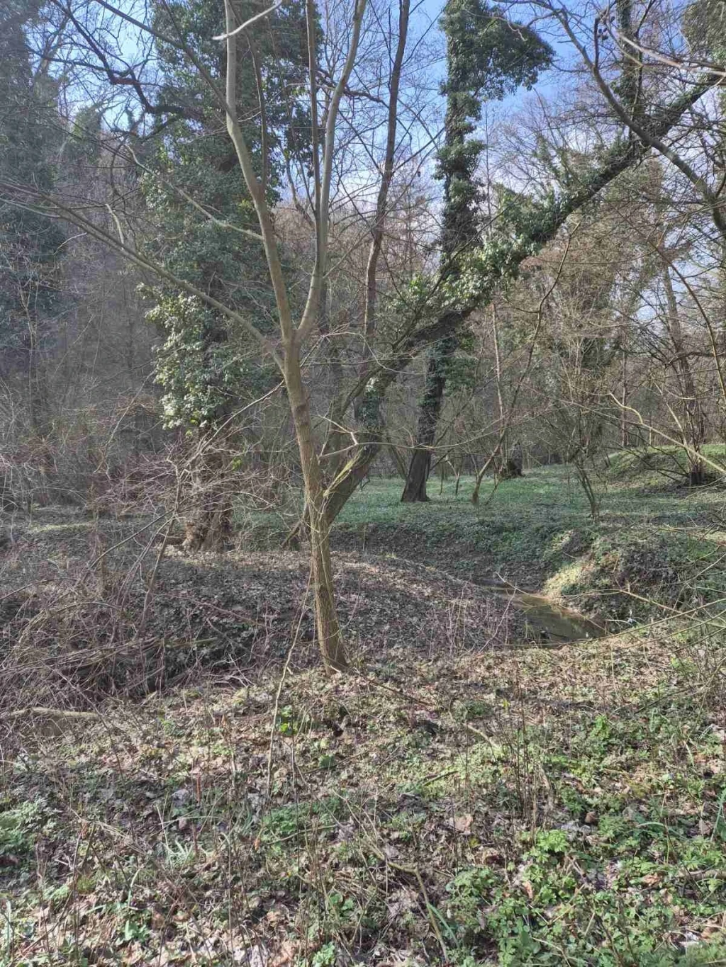 Eladó Telek, Zalacsány 25.000.000 Ft