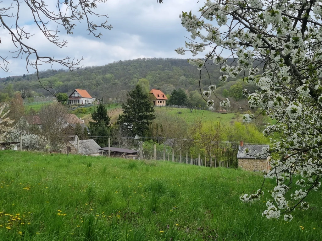 Eladó Nyaraló, Rezi 24.900.000 Ft
