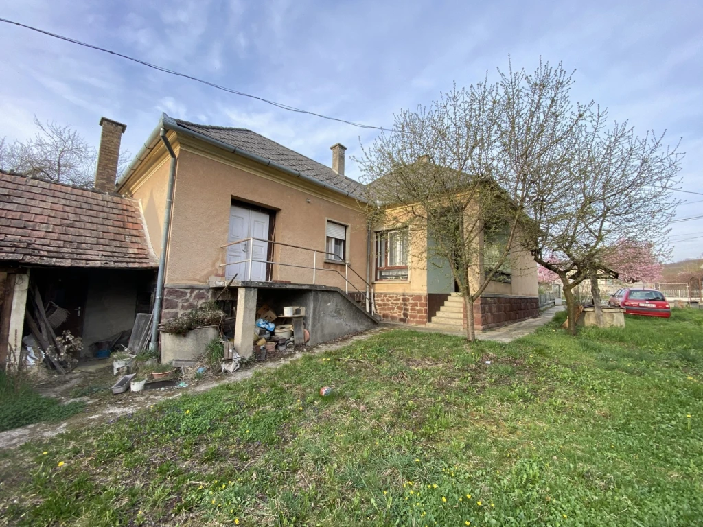 c3-1-name c2-1-name, Kehidakustány