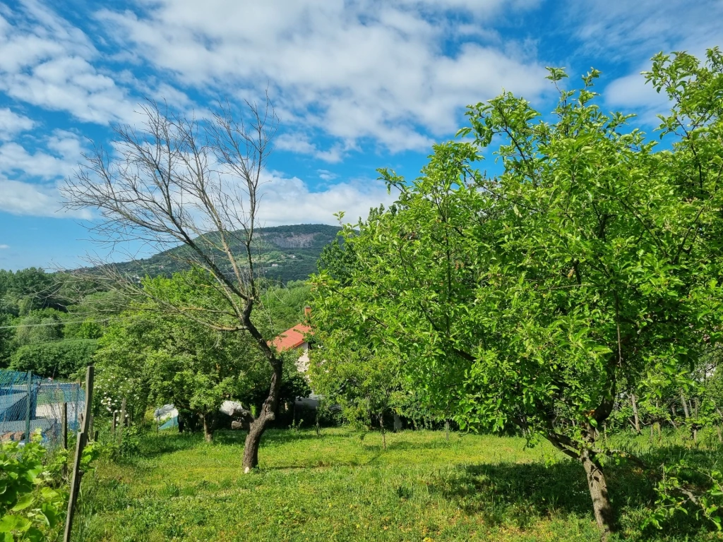 Eladó Ház, Badacsonytomaj 91.500.000 Ft