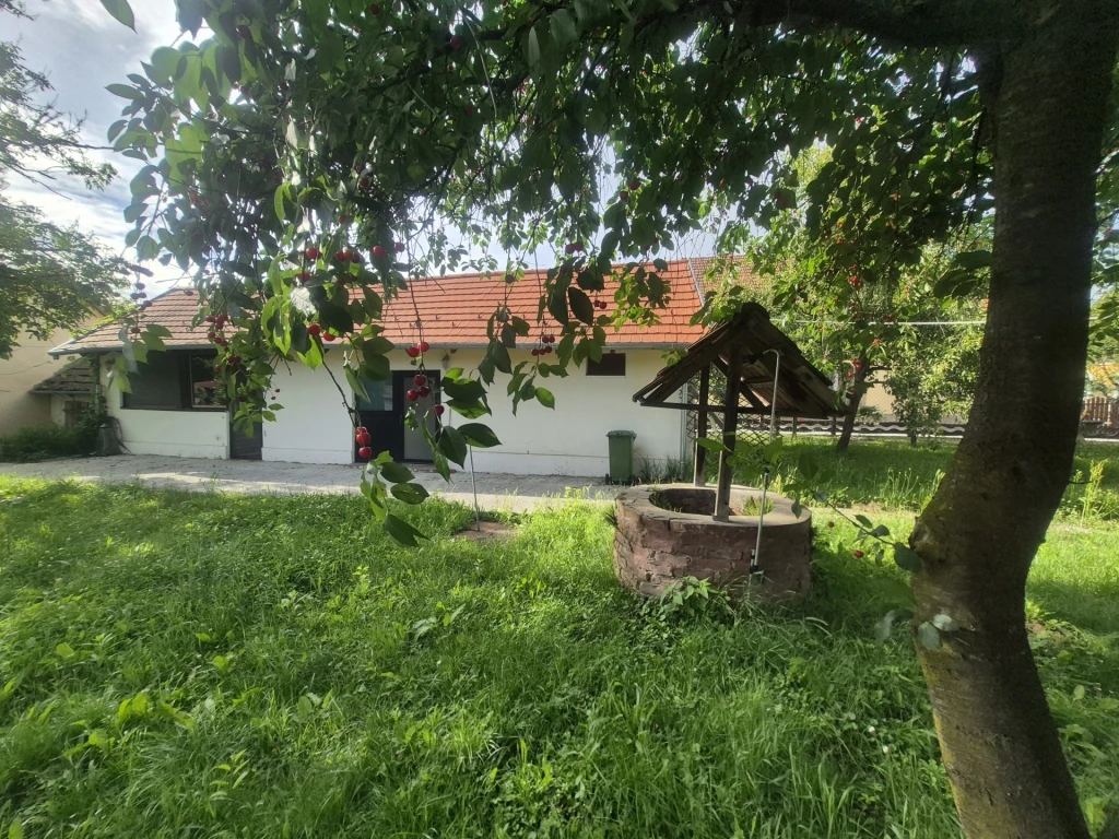c3-1-name c2-1-name, Szőkedencs