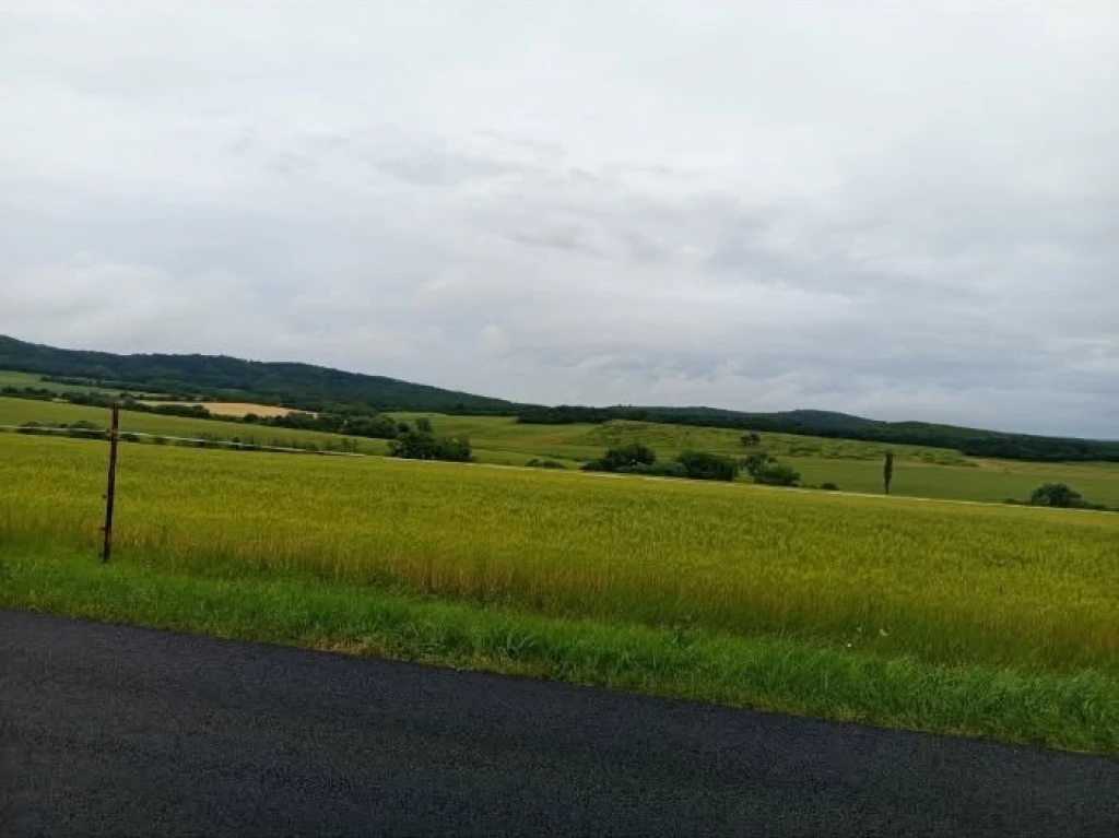 Eladó Telek, Rezi Kümelli út 15.500.000 Ft