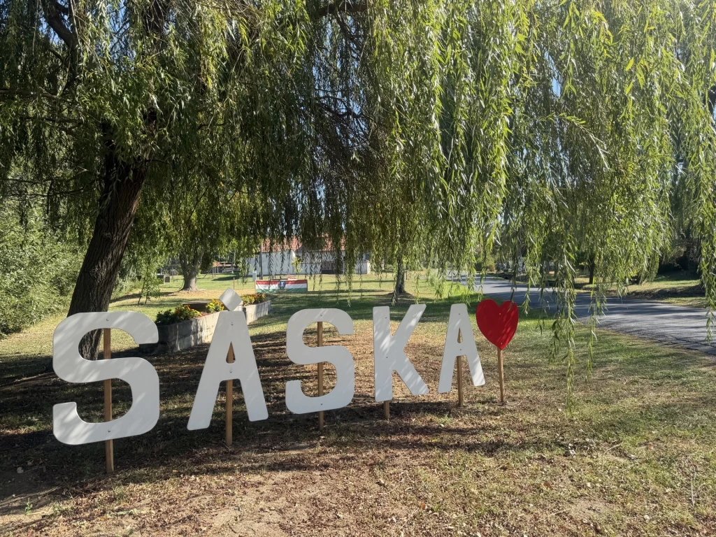 c3-1-name c2-19-name, Sáska