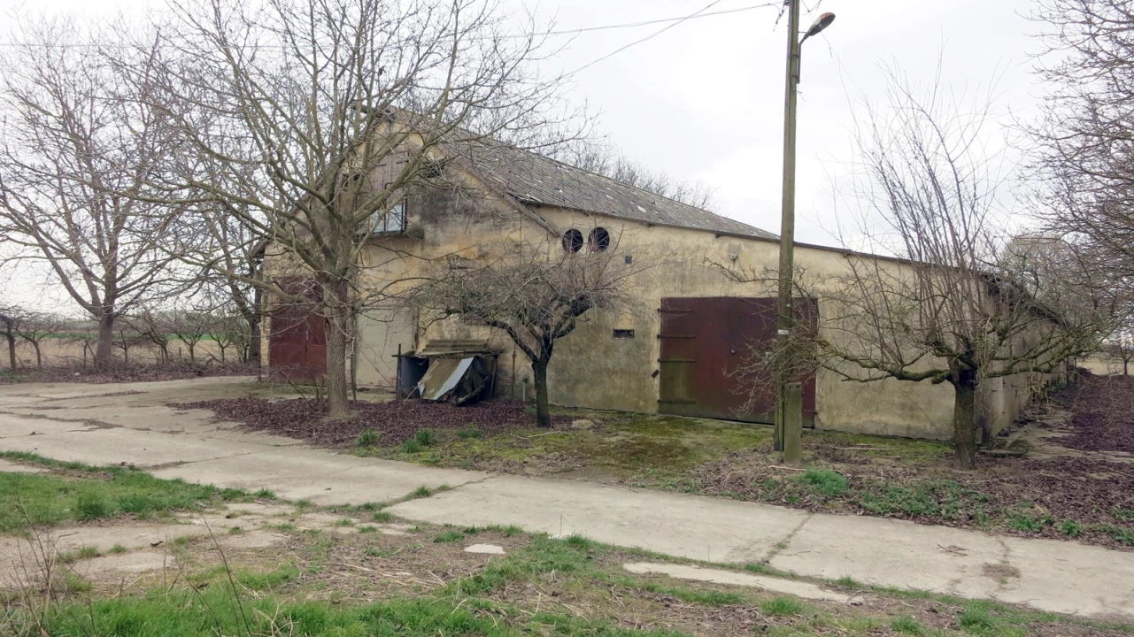 For sale other agricultural, Nagybaracska