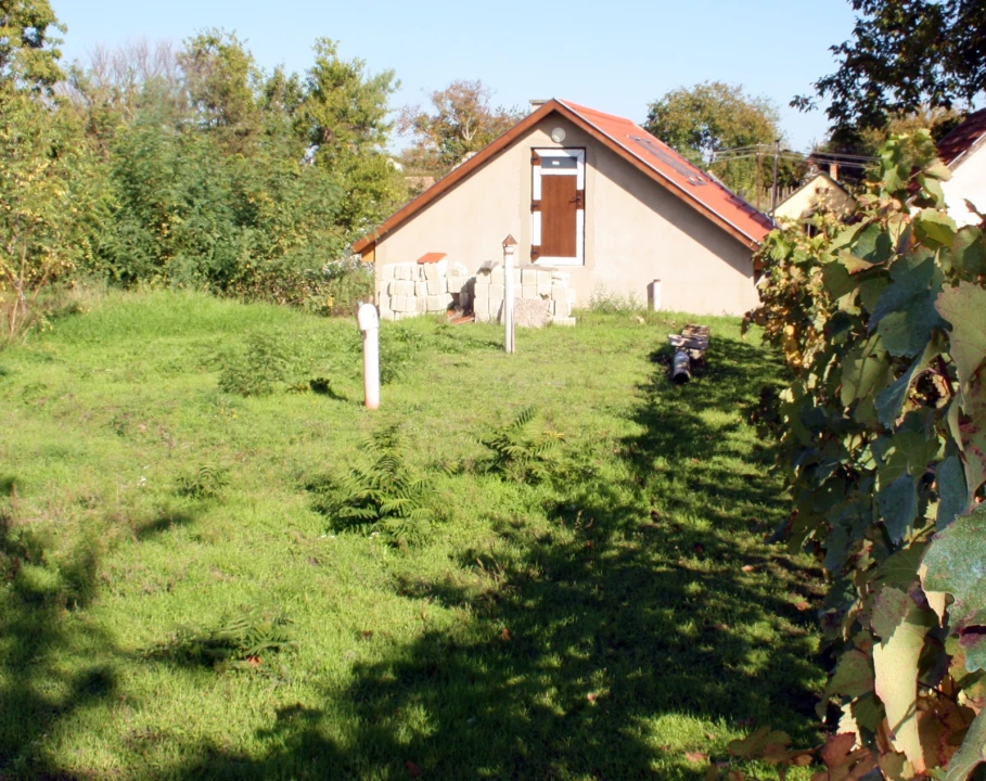 Eladó gyümölcsös, szőlő, Hajós, Pincefalu