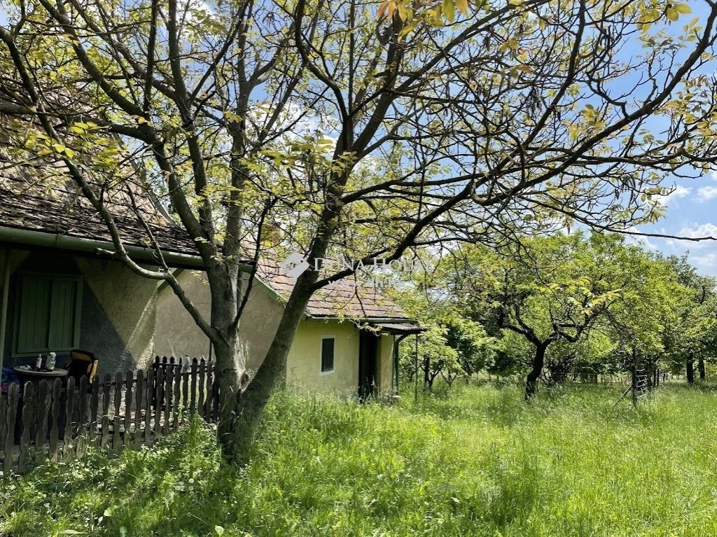 Eladó telek, Csatár