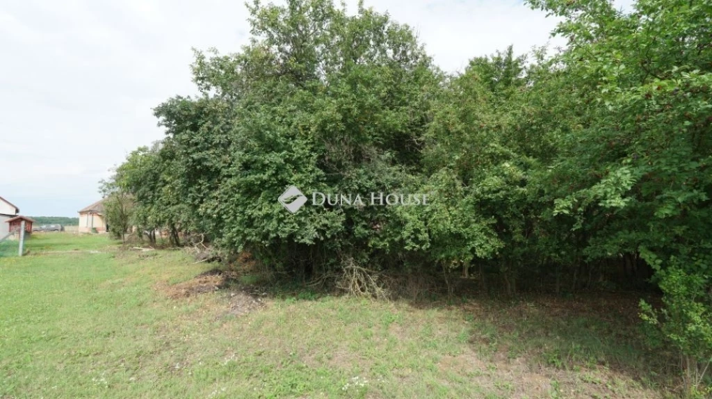 For sale house, Zalavég