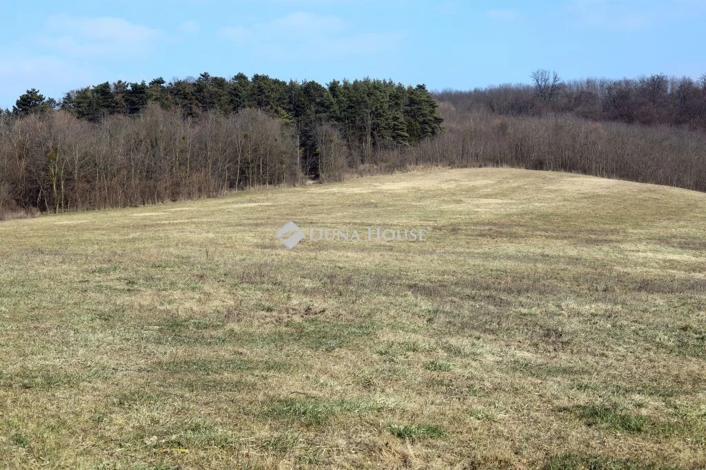 Eladó mezőgazdasági, Alsónemesapáti