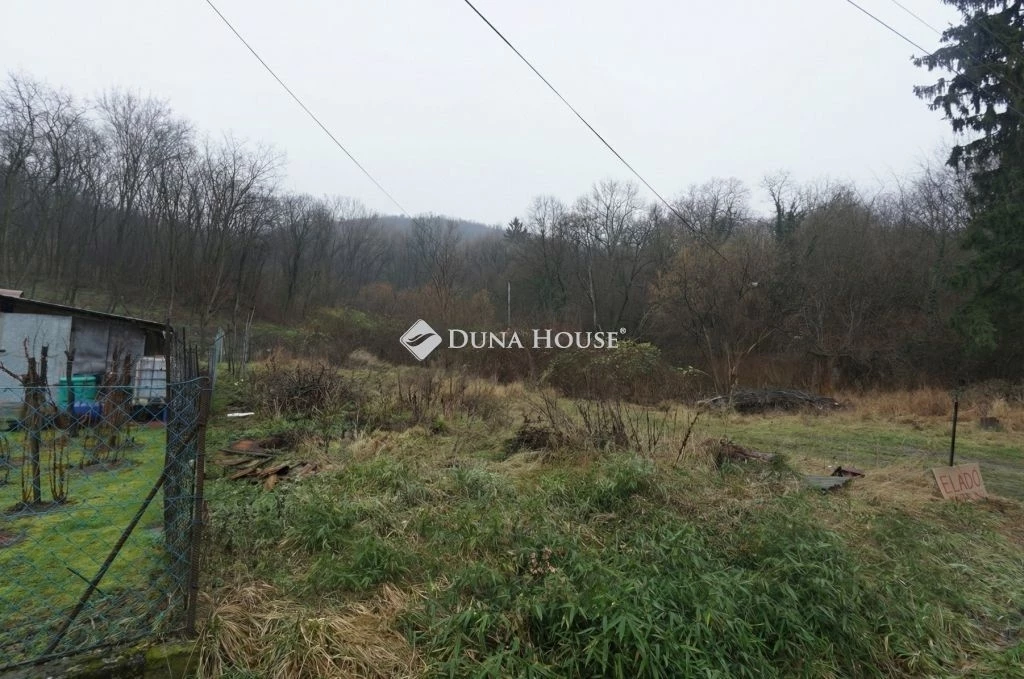 c3-1-name c2-50-name, Nemesapáti