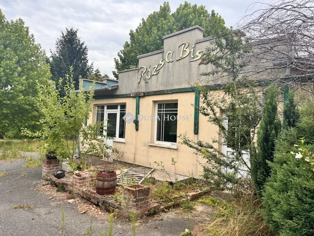 c3-1-name c2-87-name, Nagylengyel