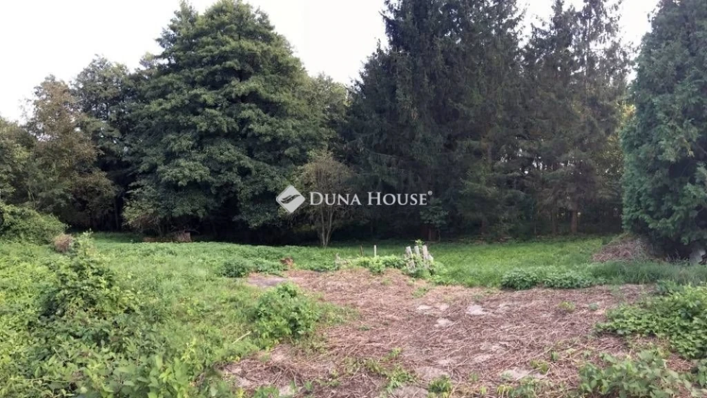 c3-1-name c2-50-name, Bagod, Vitenyédi utca