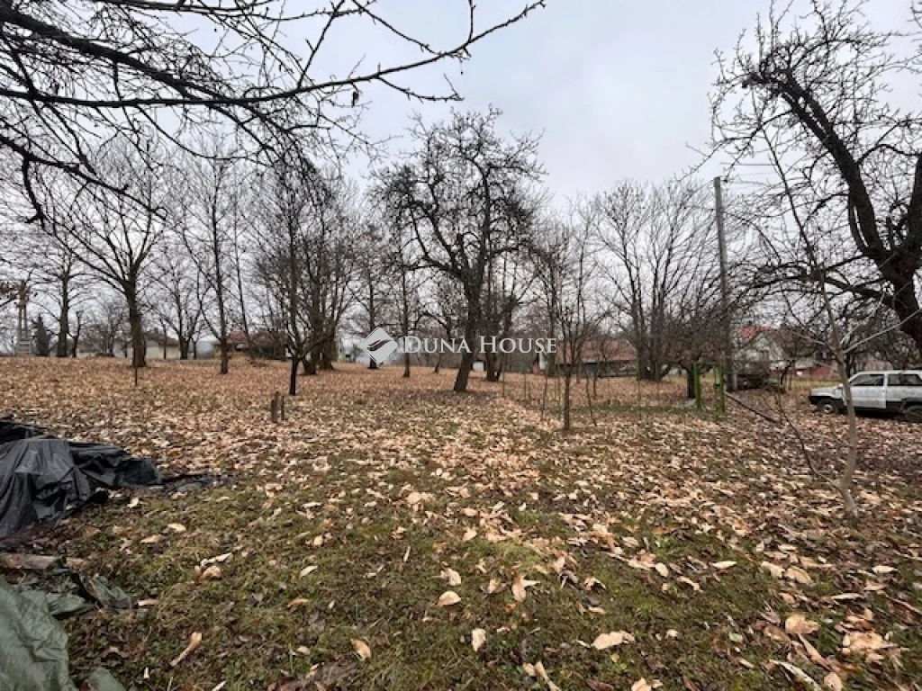 Eladó mezőgazdasági, Bak