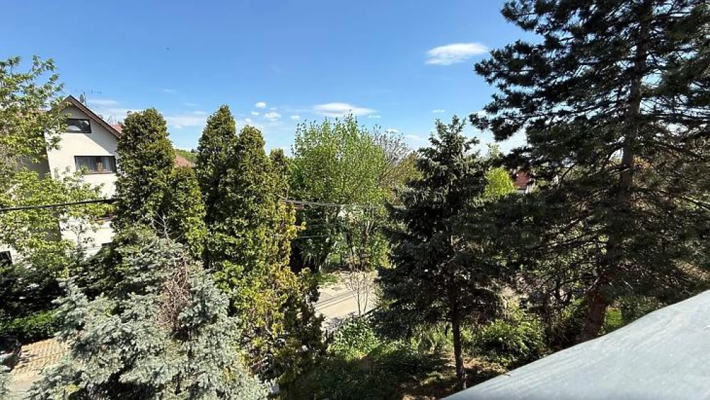 Eladó téglalakás, Budapest XI. kerület, Sasad-Sashegy XI. ker.