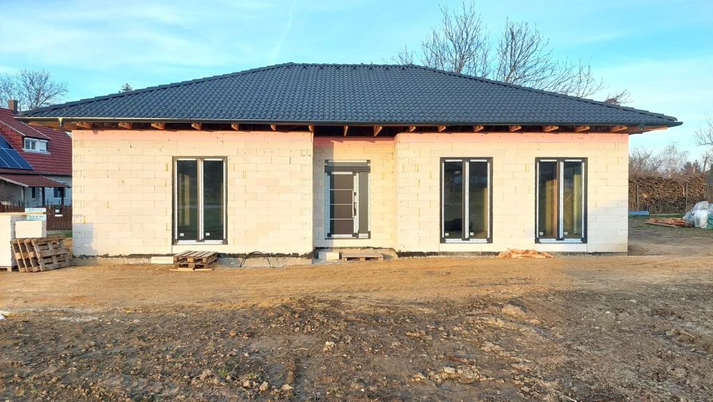 c3-1-name c2-1-name, Nyúl