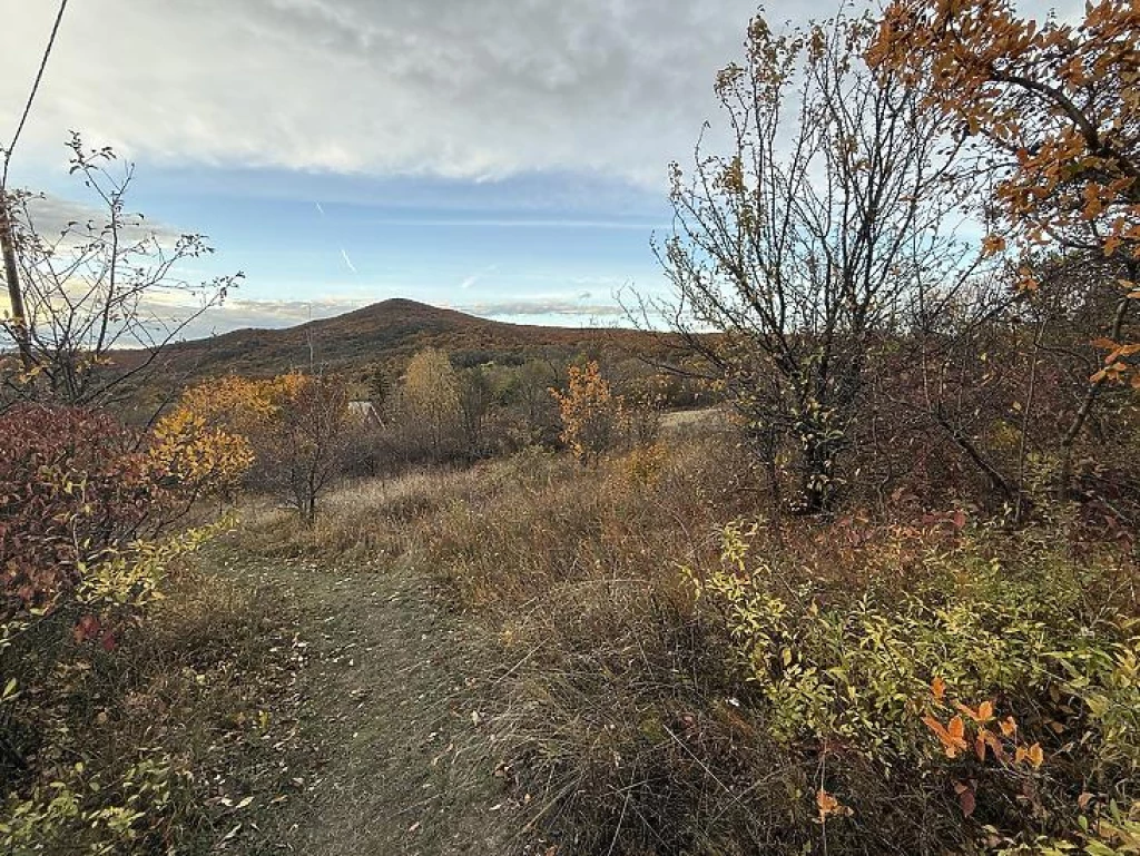 Eladó külterületi telek, Pomáz