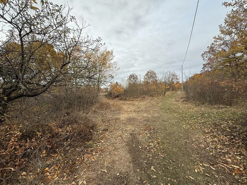 Eladó külterületi telek, Pomáz