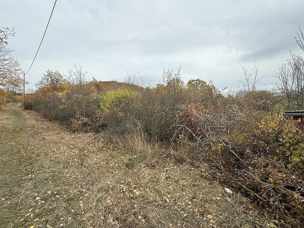 Eladó külterületi telek, Pomáz