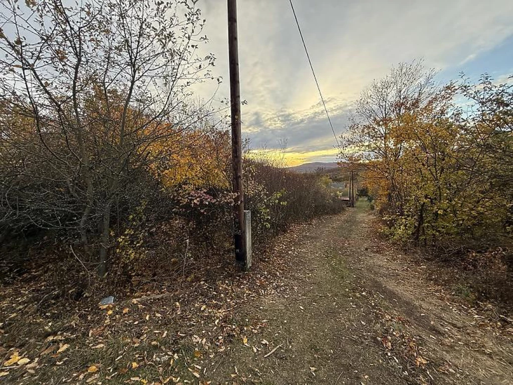 Eladó külterületi telek, Pomáz